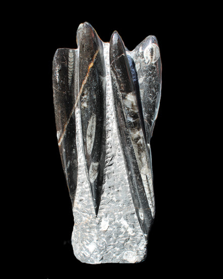 Orthoceras sculpture tower from Morocco 213*80mm 1397g in sunlight - Rocks and Things Store
