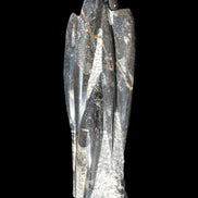 Orthoceras sculpture tower from Morocco 213*80mm 1397g in sunlight - Rocks and Things Store