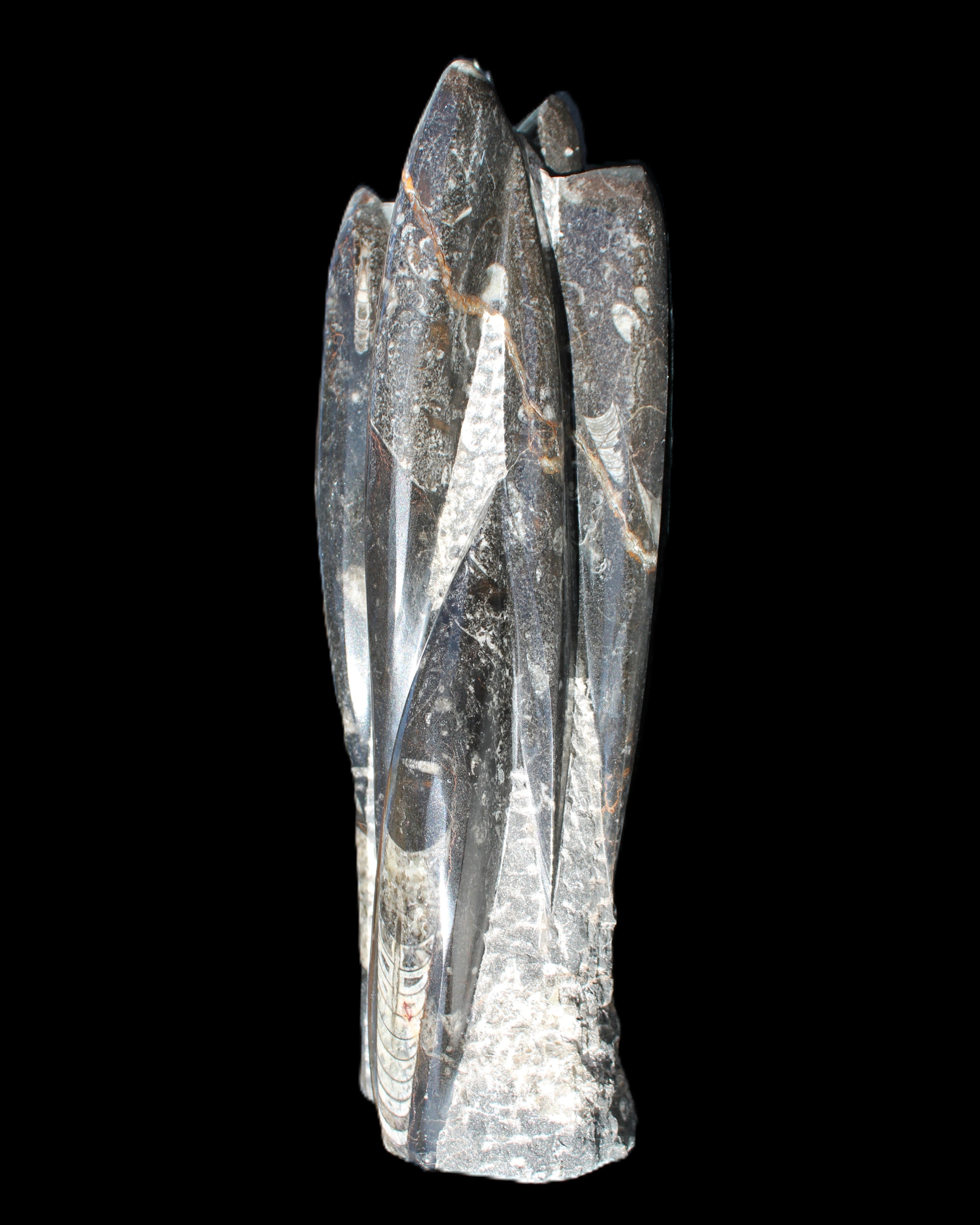 Orthoceras sculpture tower from Morocco 213*80mm 1397g in sunlight - Rocks and Things Store