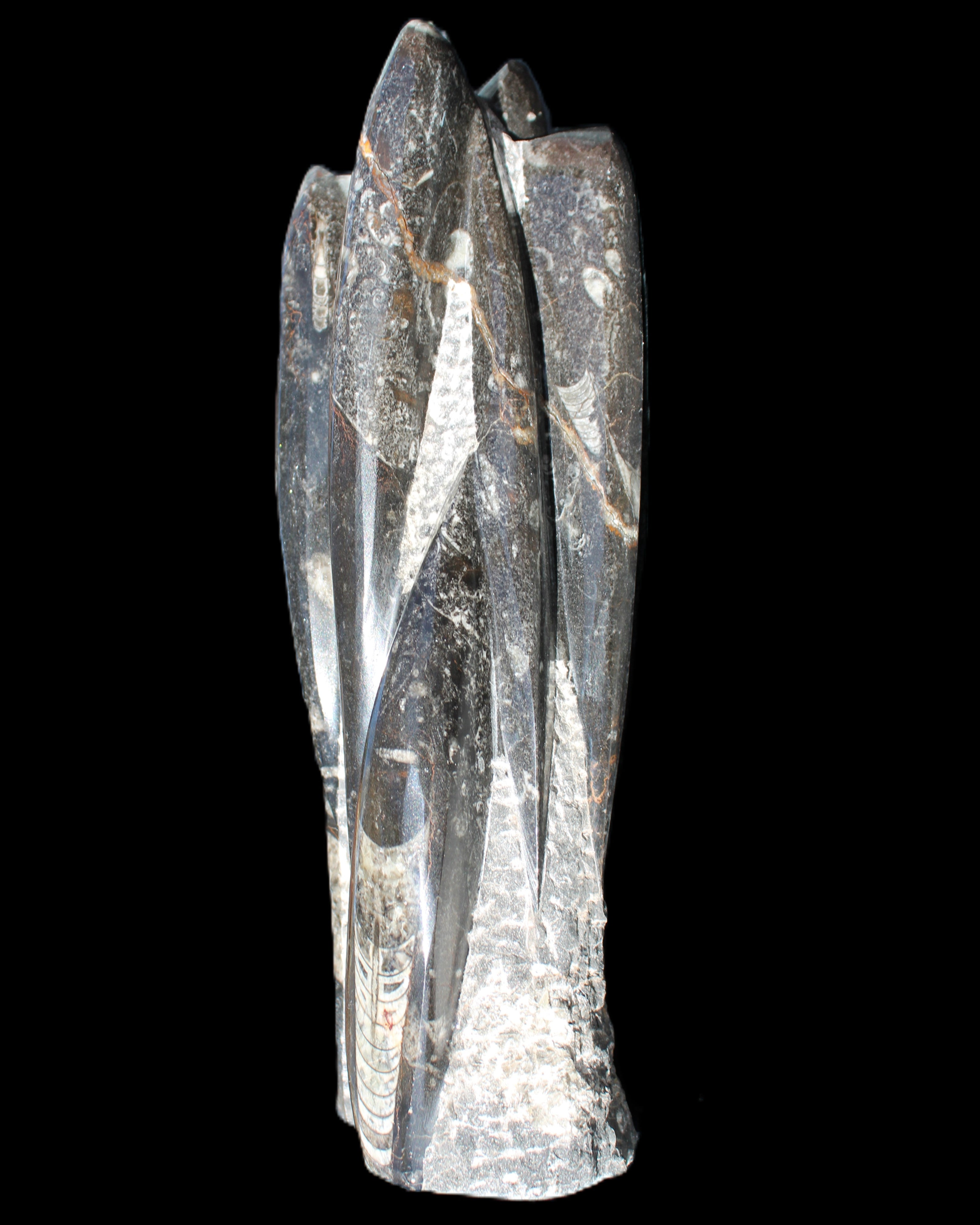 Orthoceras sculpture tower from Morocco 213*80mm 1397g in sunlight - Rocks and Things Store