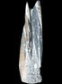 Orthoceras sculpture tower from Morocco 230*65mm 1030g in sunlight - Rocks and Things Store