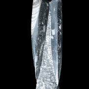 Orthoceras sculpture tower from Morocco 230*65mm 1030g in sunlight - Rocks and Things Store