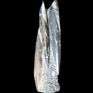 Orthoceras sculpture tower from Morocco 230*65mm 1030g in sunlight - Rocks and Things Store