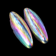 Magnetic Rainbow Hematite Buzz stones pair 56-60mm 93-107g in sunlight - Rocks and Things Store