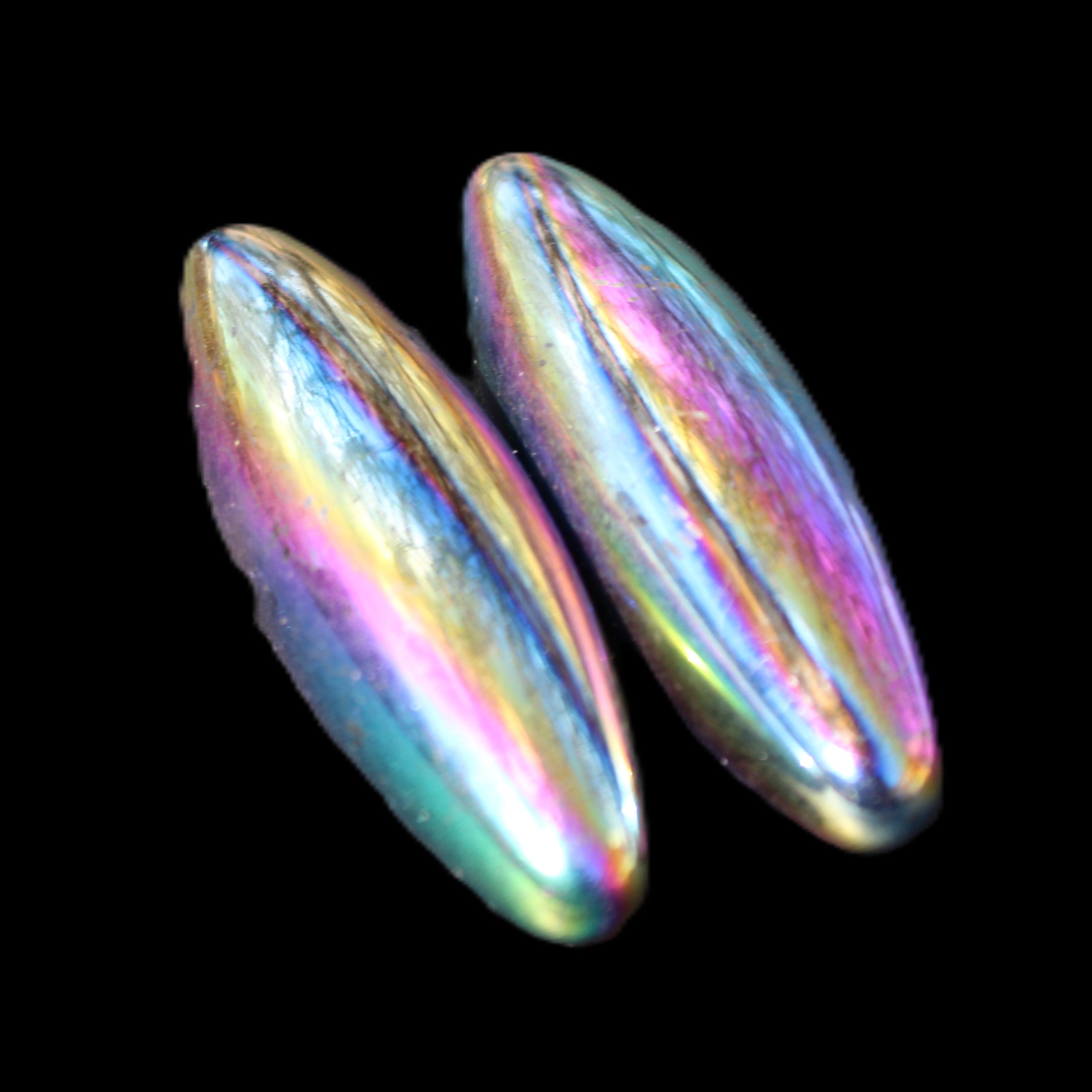 Magnetic Rainbow Hematite Buzz stones pair 56-60mm 93-107g in sunlight - Rocks and Things Store