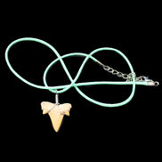 Shark tooth wire wrapped pendant necklace with adjustable strap in sunlight - Rocks and Things Store
