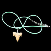 Shark tooth wire wrapped pendant necklace with adjustable strap in sunlight - Rocks and Things Store