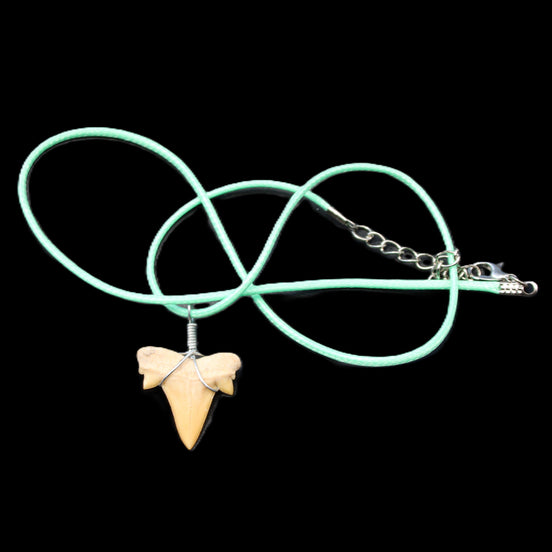 Shark tooth wire wrapped pendant necklace with adjustable strap in sunlight - Rocks and Things Store