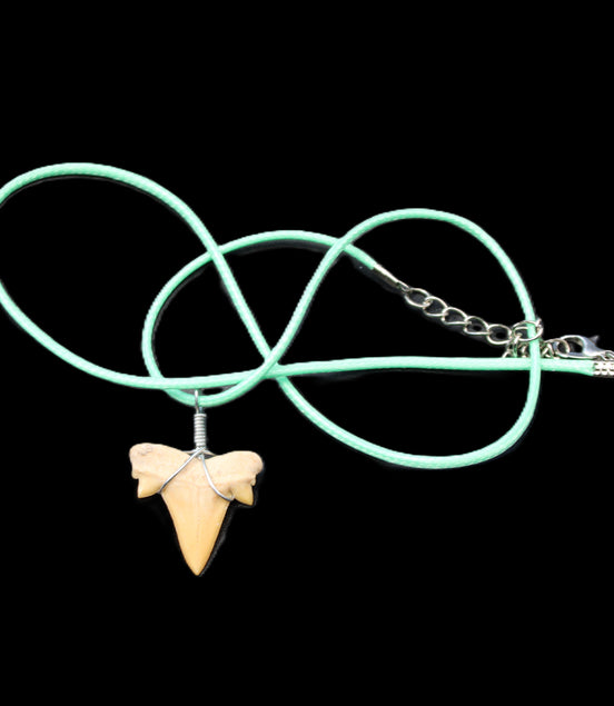 Shark tooth wire wrapped pendant necklace with adjustable strap in sunlight - Rocks and Things Store