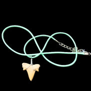Shark tooth wire wrapped pendant necklace with adjustable strap in sunlight - Rocks and Things Store