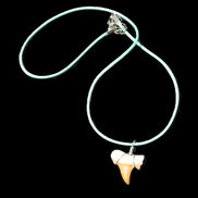 Shark tooth wire wrapped pendant necklace with adjustable strap in sunlight - Rocks and Things Store