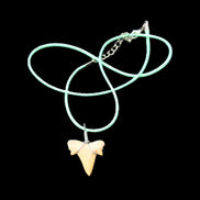 Shark tooth wire wrapped pendant necklace with adjustable strap in sunlight - Rocks and Things Store