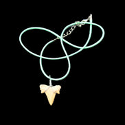 Shark tooth wire wrapped pendant necklace with adjustable strap in sunlight - Rocks and Things Store