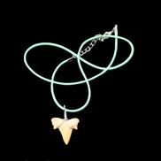 Shark tooth wire wrapped pendant necklace with adjustable strap in sunlight - Rocks and Things Store
