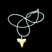 Shark tooth wire wrapped pendant necklace with adjustable strap in sunlight - Rocks and Things Store