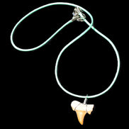 Shark tooth wire wrapped pendant necklace with adjustable strap in sunlight - Rocks and Things Store