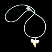 Shark tooth wire wrapped pendant necklace with adjustable strap in sunlight - Rocks and Things Store