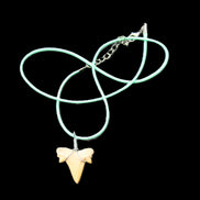 Shark tooth wire wrapped pendant necklace with adjustable strap in sunlight - Rocks and Things Store