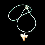 Shark tooth wire wrapped pendant necklace with adjustable strap in sunlight - Rocks and Things Store
