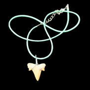 Shark tooth wire wrapped pendant necklace with adjustable strap in sunlight - Rocks and Things Store