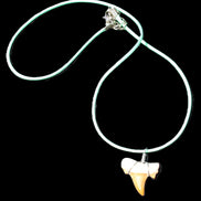 Shark tooth wire wrapped pendant necklace with adjustable strap in sunlight - Rocks and Things Store