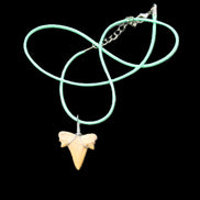 Shark tooth wire wrapped pendant necklace with adjustable strap in sunlight - Rocks and Things Store