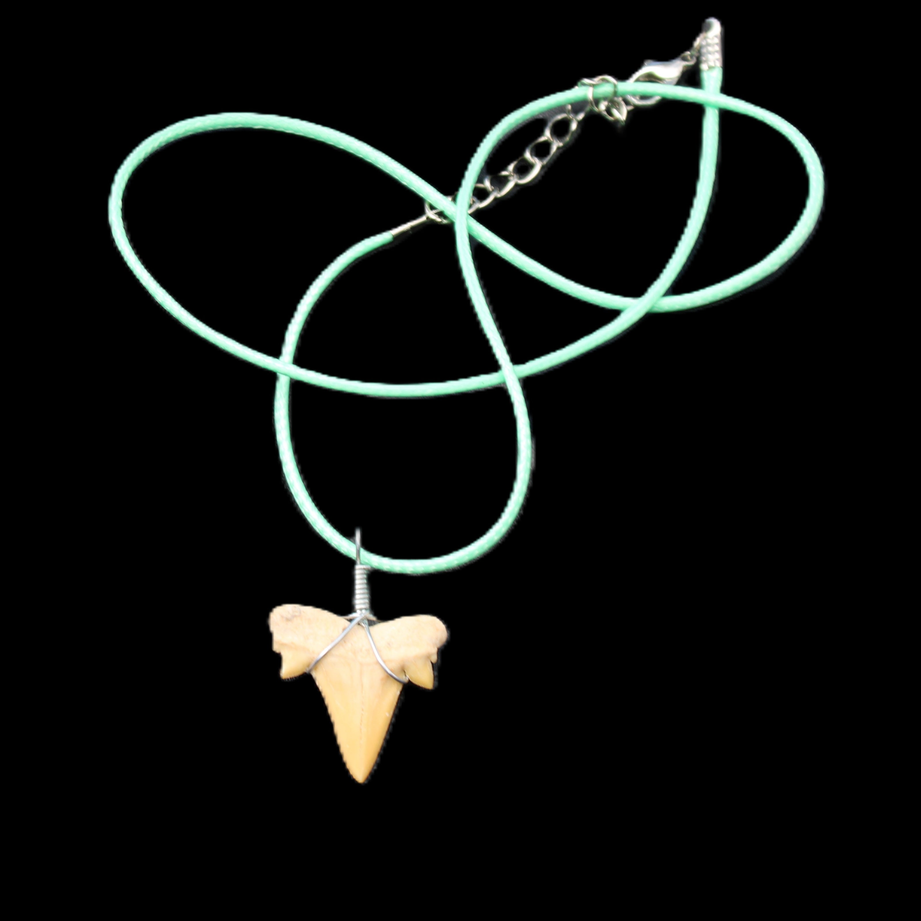 Shark tooth wire wrapped pendant necklace with adjustable strap in sunlight - Rocks and Things Store