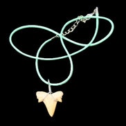 Shark tooth wire wrapped pendant necklace with adjustable strap in sunlight - Rocks and Things Store