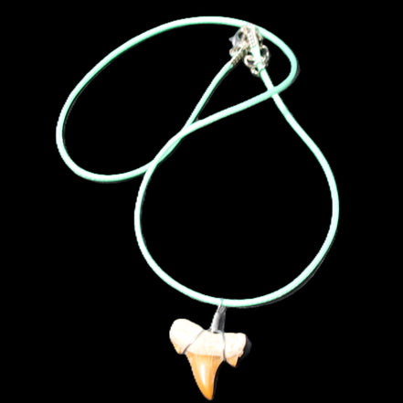 Shark tooth wire wrapped pendant necklace with adjustable strap in sunlight - Rocks and Things Store