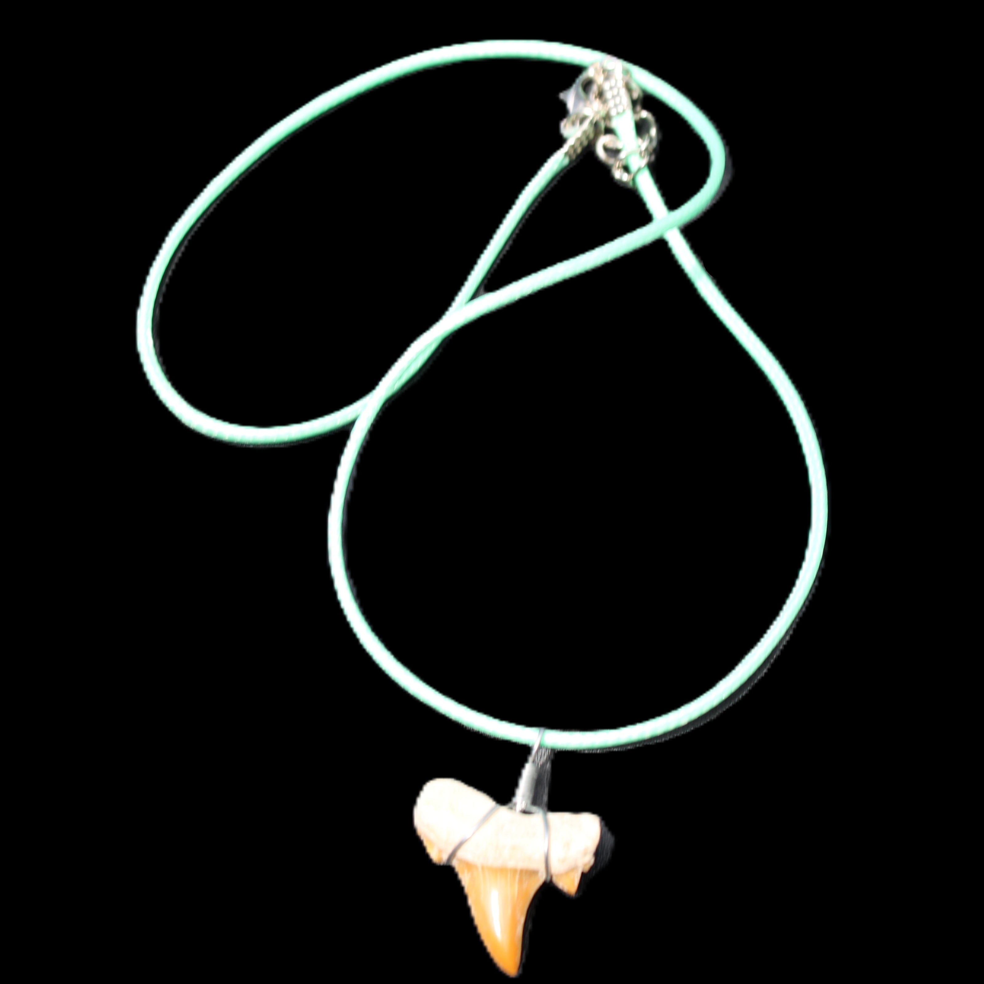 Shark tooth wire wrapped pendant necklace with adjustable strap in sunlight - Rocks and Things Store