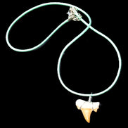 Shark tooth wire wrapped pendant necklace with adjustable strap in sunlight - Rocks and Things Store