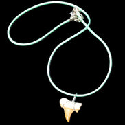 Shark tooth wire wrapped pendant necklace with adjustable strap in sunlight - Rocks and Things Store