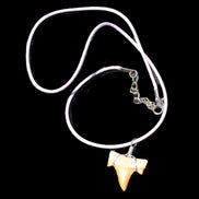 Shark tooth wire wrapped pendant necklace with adjustable strap in sunlight - Rocks and Things Store