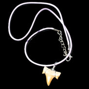 Shark tooth wire wrapped pendant necklace with adjustable strap in sunlight - Rocks and Things Store