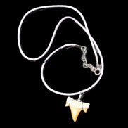 Shark tooth wire wrapped pendant necklace with adjustable strap in sunlight - Rocks and Things Store