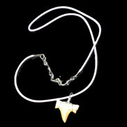Shark tooth wire wrapped pendant necklace with adjustable strap in sunlight - Rocks and Things Store