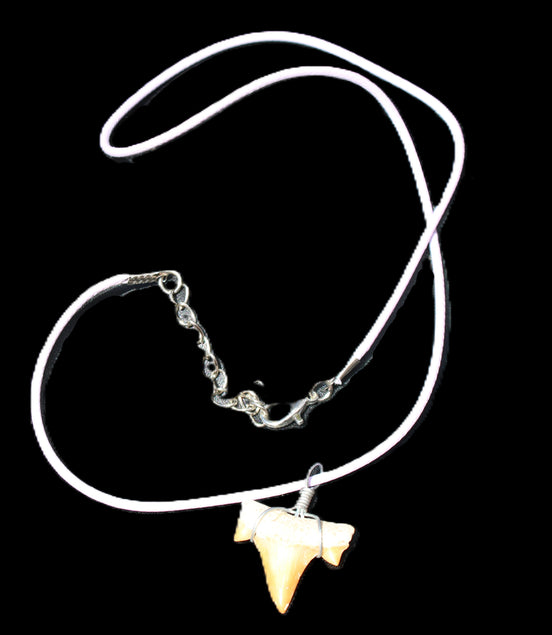 Shark tooth wire wrapped pendant necklace with adjustable strap in sunlight - Rocks and Things Store