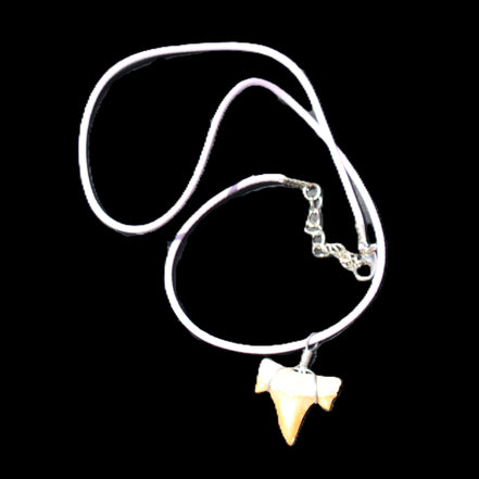 Shark tooth wire wrapped pendant necklace with adjustable strap in sunlight - Rocks and Things Store
