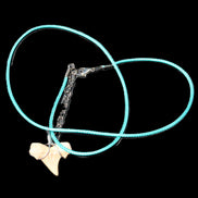 Shark tooth wire wrapped pendant necklace with adjustable strap in sunlight - Rocks and Things Store