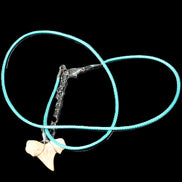Shark tooth wire wrapped pendant necklace with adjustable strap in sunlight - Rocks and Things Store
