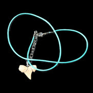 Shark tooth wire wrapped pendant necklace with adjustable strap in sunlight - Rocks and Things Store