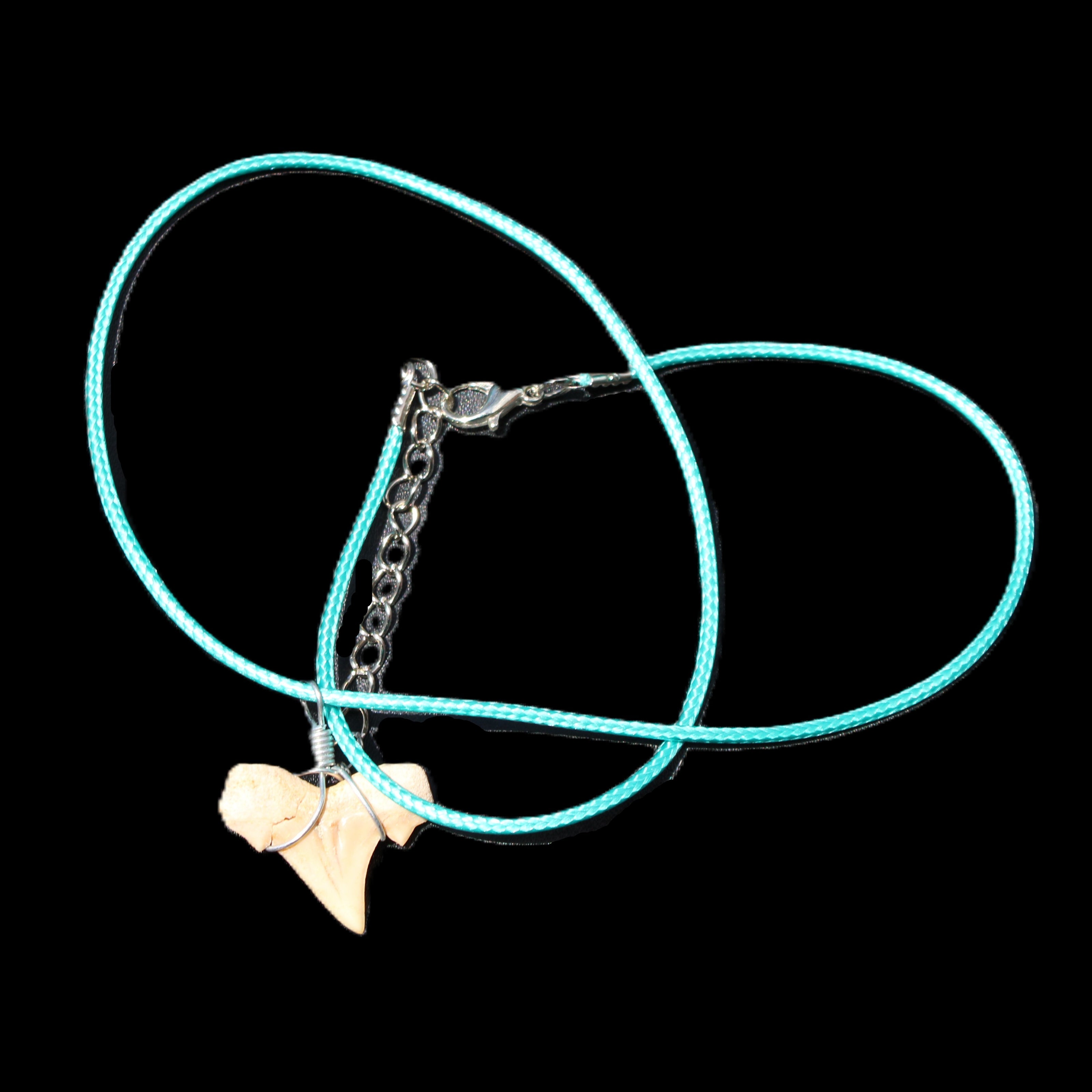 Shark tooth wire wrapped pendant necklace with adjustable strap in sunlight - Rocks and Things Store
