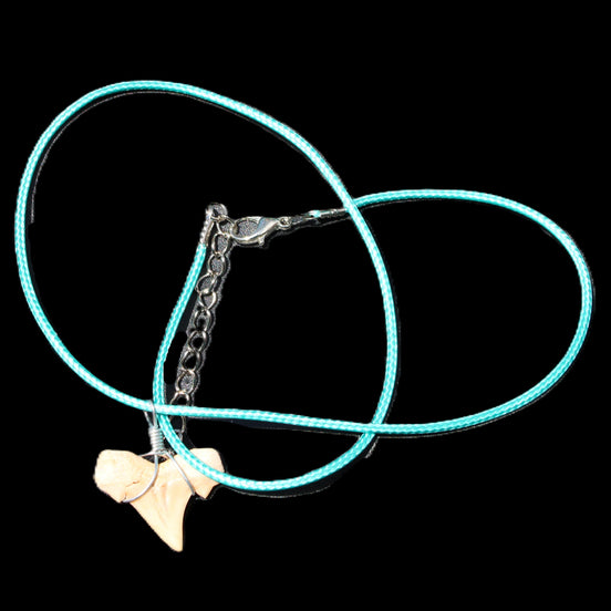 Shark tooth wire wrapped pendant necklace with adjustable strap in sunlight - Rocks and Things Store
