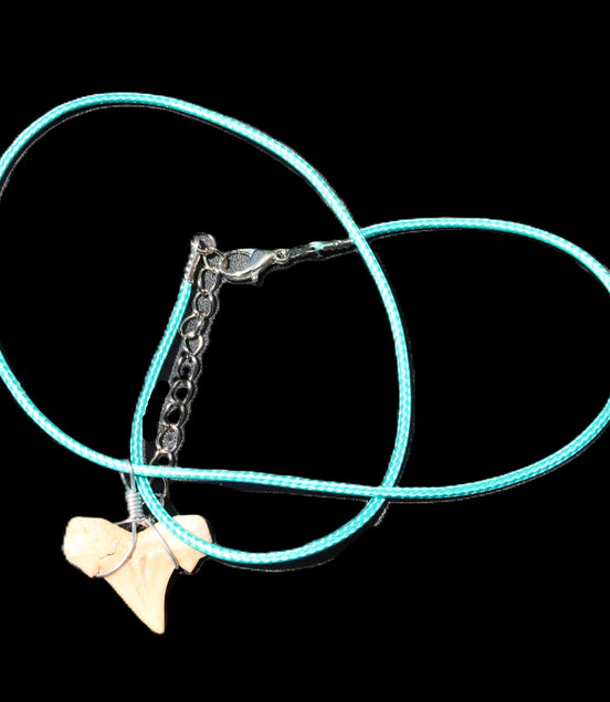 Shark tooth wire wrapped pendant necklace with adjustable strap in sunlight - Rocks and Things Store