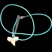 Shark tooth wire wrapped pendant necklace with adjustable strap in sunlight - Rocks and Things Store