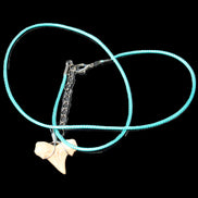 Shark tooth wire wrapped pendant necklace with adjustable strap in sunlight - Rocks and Things Store