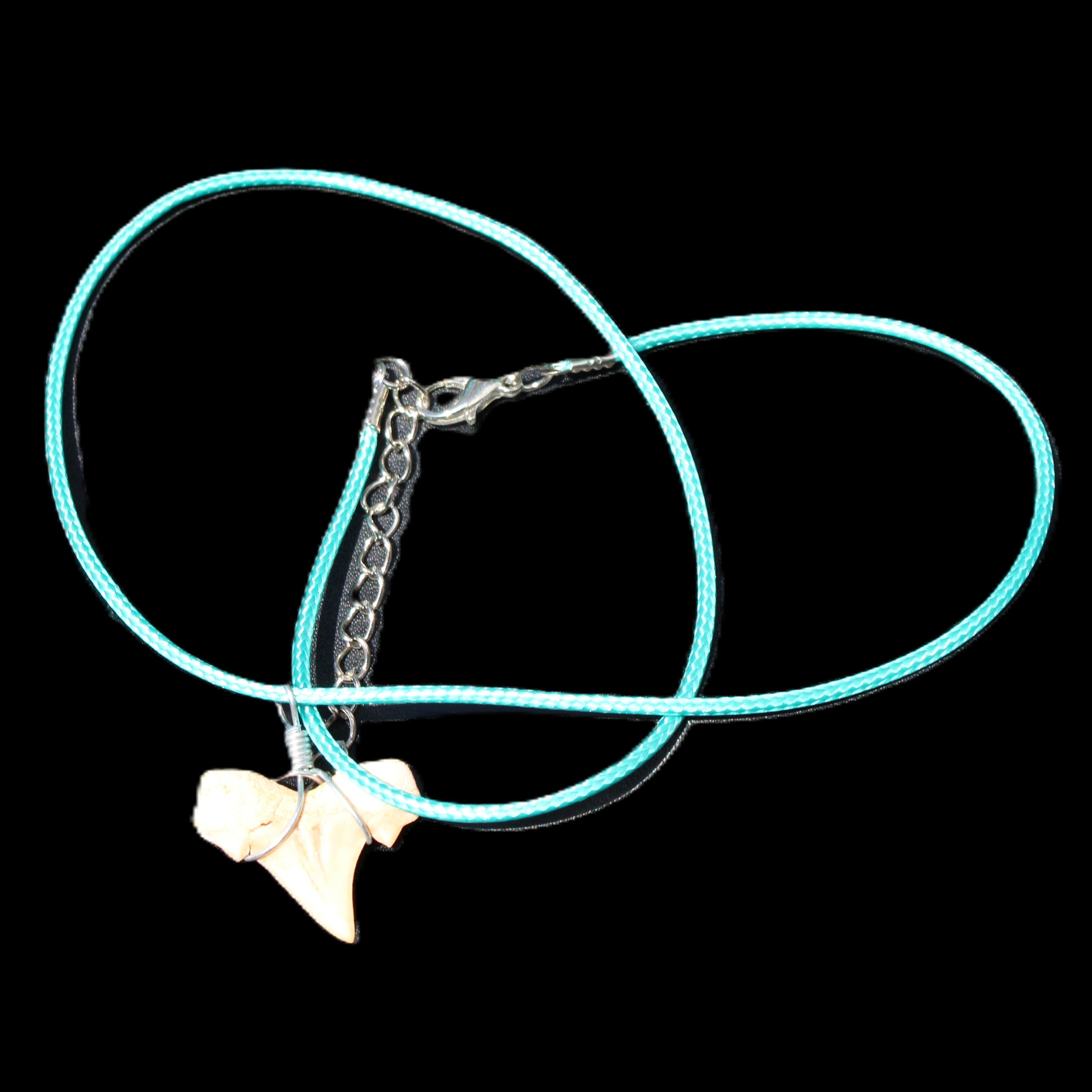 Shark tooth wire wrapped pendant necklace with adjustable strap in sunlight - Rocks and Things Store