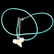 Shark tooth wire wrapped pendant necklace with adjustable strap in sunlight - Rocks and Things Store