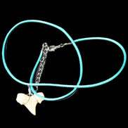 Shark tooth wire wrapped pendant necklace with adjustable strap in sunlight - Rocks and Things Store