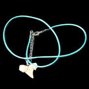 Shark tooth wire wrapped pendant necklace with adjustable strap in sunlight - Rocks and Things Store